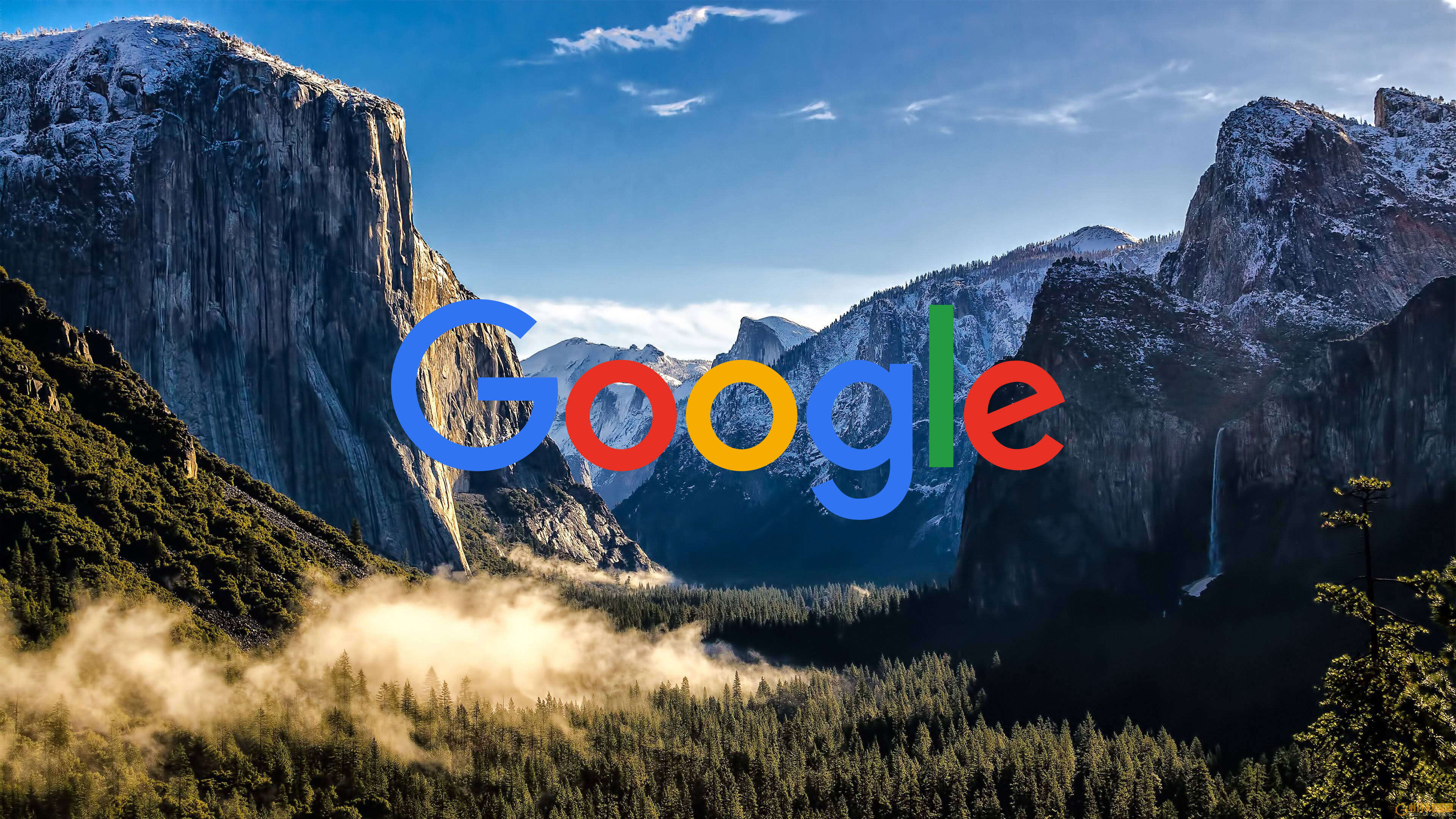 今天是Google的官方生日，它20岁了